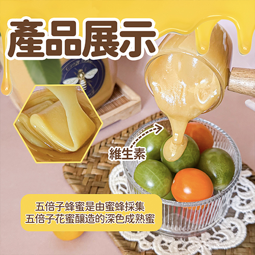 甘肅五被子花蜂蜜 生